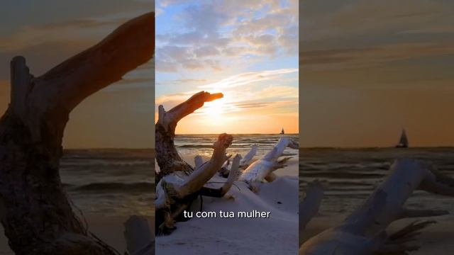 GÊNESIS - A ORIGEM DE TUDO: CAPITULO 8 EP: 3 #genesis #biblia #jesus #meditation