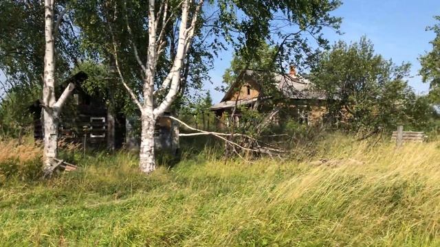 Нашли потерянный брызговик в Шурае. 10.08.2018