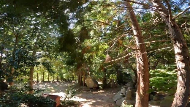 FULL: HOW TO INNOVATE VLOG ERIC KIM 1080P