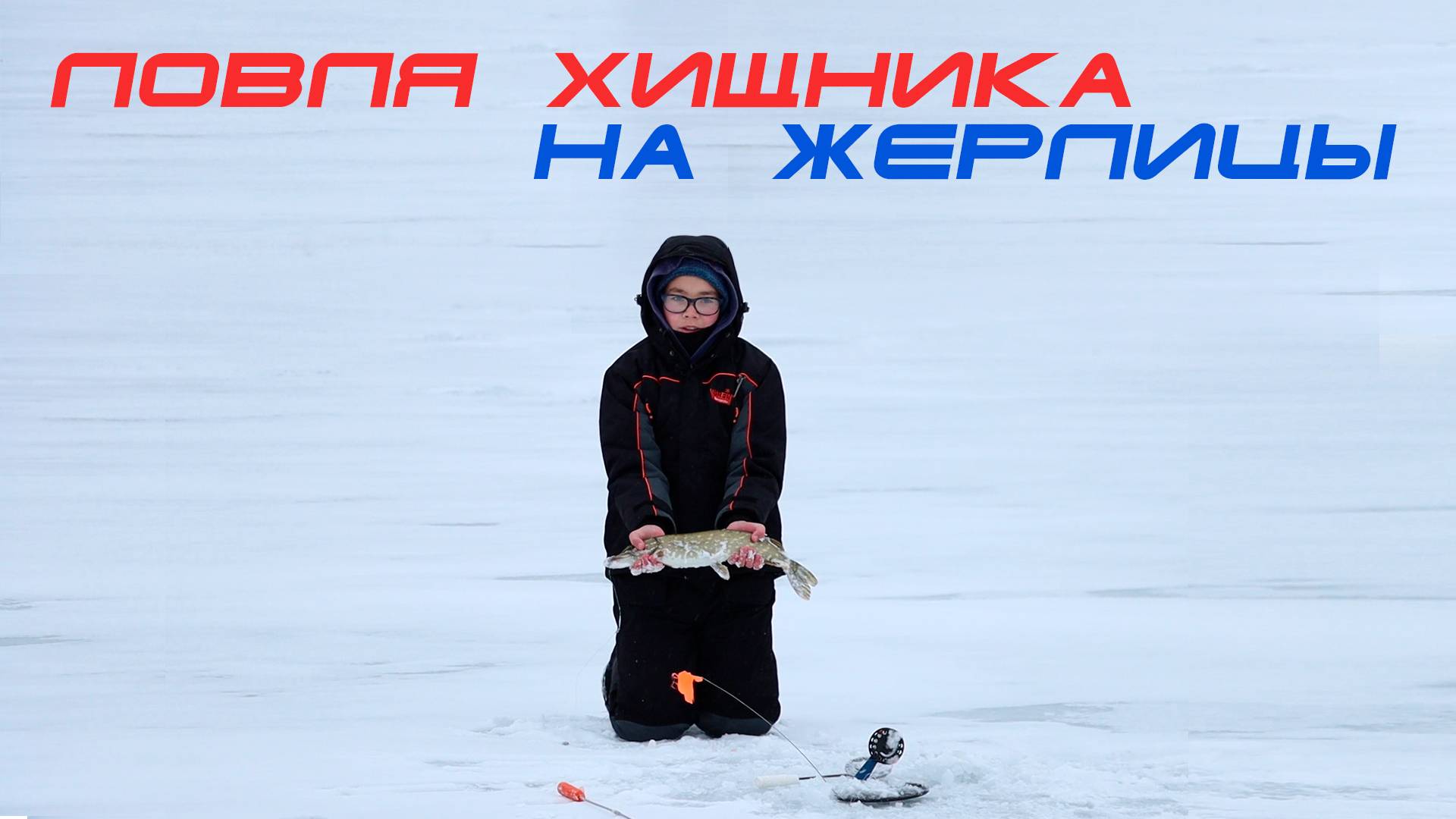 Aeef50d02d5f0c49d29c121bbe7b35ad