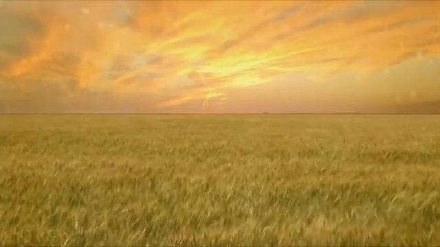 Nikola Tesla O 21 Veku