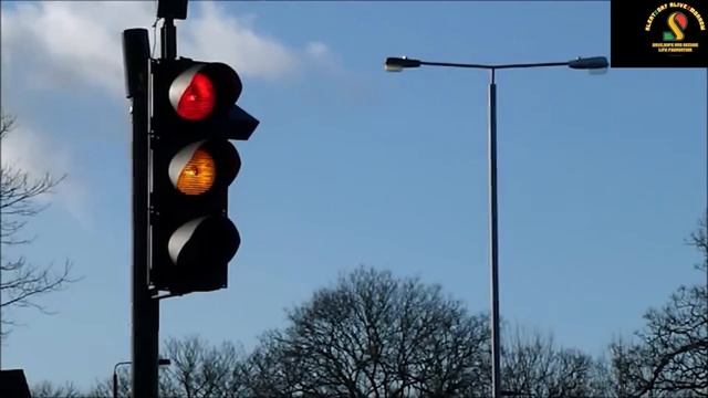 Seat Belt :- Save, Safe And Secure Your Life