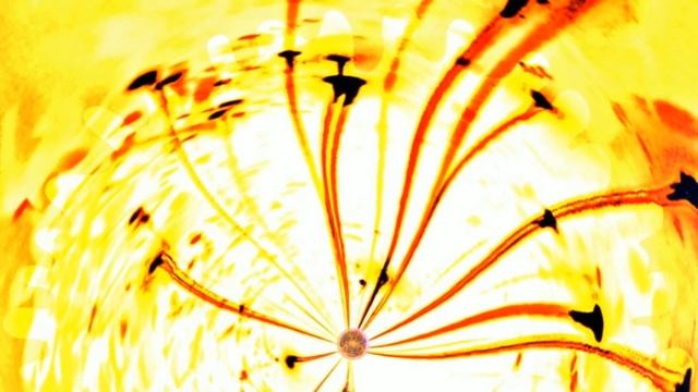 Hypnotic Video - Tesla Fantasy