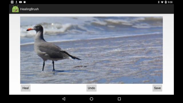 Demo Healing Brush In RenderScript