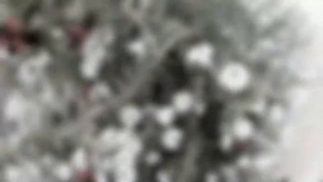 Street Marketing Sport ( Distrib Magazine )  CHAMBERY  Et LAC Du BOURGET  By  LINK-MUSIK