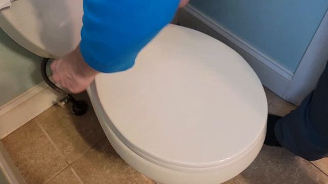 How To Replace A Toilet Seat.
