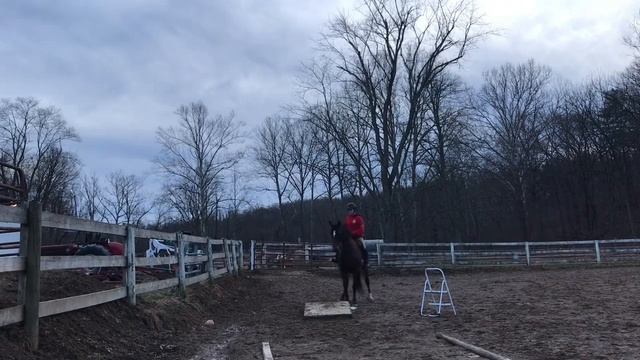 Hattie Crossing The Bridge