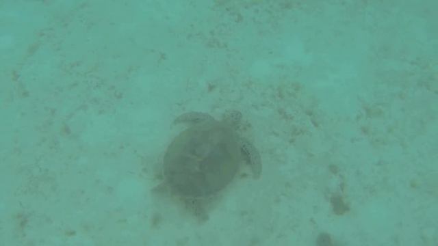 Tobago Keys SVG 2018