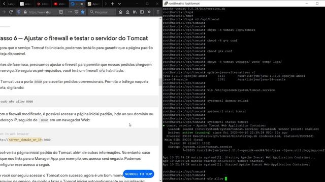 3ab4c91c2058a55ec8b074fa0d03ee7c