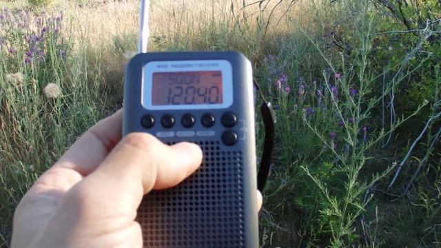 Здания и приключения