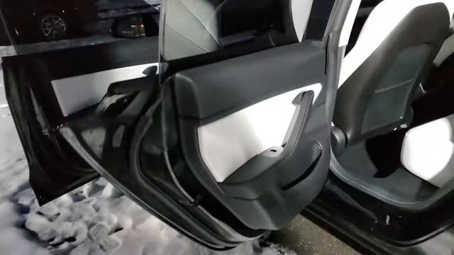 Tesla Model 3 Performance FSD 2019