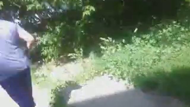 влог с Link'ом