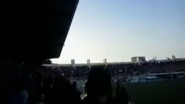 Champion D'algerie 2014