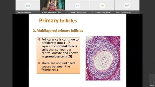 E30b9e806c7885243a4ed7454573cdb4