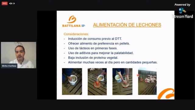 BATTICONFERENCIA PORCINA - Manejo Integral De Cerdos