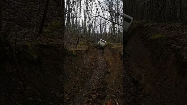 Газон нэкст