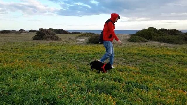 TREVIS UN CUCCIOLO ADORABILE