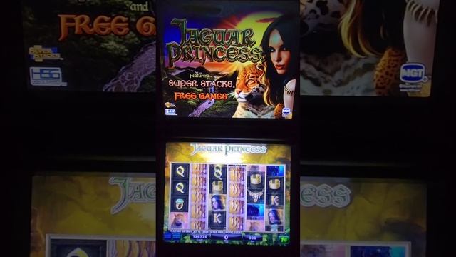 35cd8b2b26051dbadef557e6e100547e