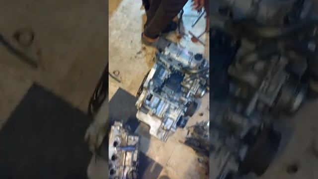 C56e34cd41a9813518eb499f5bde1765