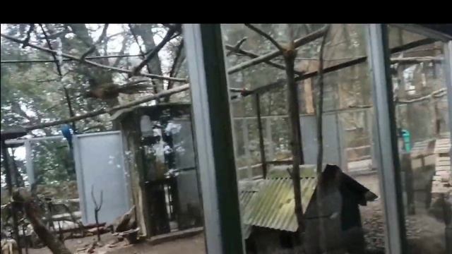 Af2e976edebbe1a1f8088ef2b1cb425e