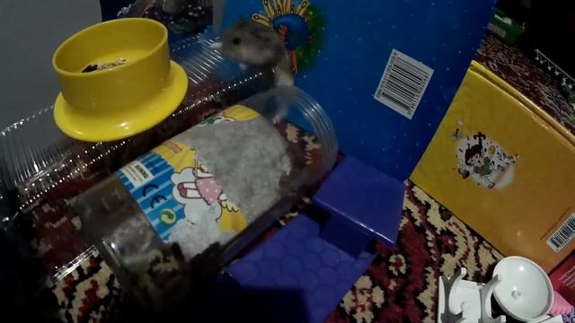 F8587bb7928553529c7c4dc10c4fca76