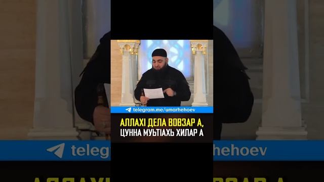 УМАР ХЕХОЕВ АЛЛАХ1 ДЕЛА ВОВЗАР А, ЦУННА МУЬТ1АХЬ ХИЛАР А ХЬЕХАМ