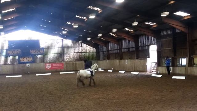 Eve's First Dressage