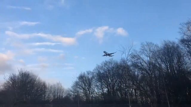 STUNNING LANDINGS Just Above You! Qatar Airways Cargo B777F And More! | Amsterdam Airport Schiphol