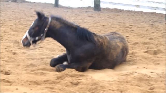 4c5d390722c565df1db0145738f4ad54