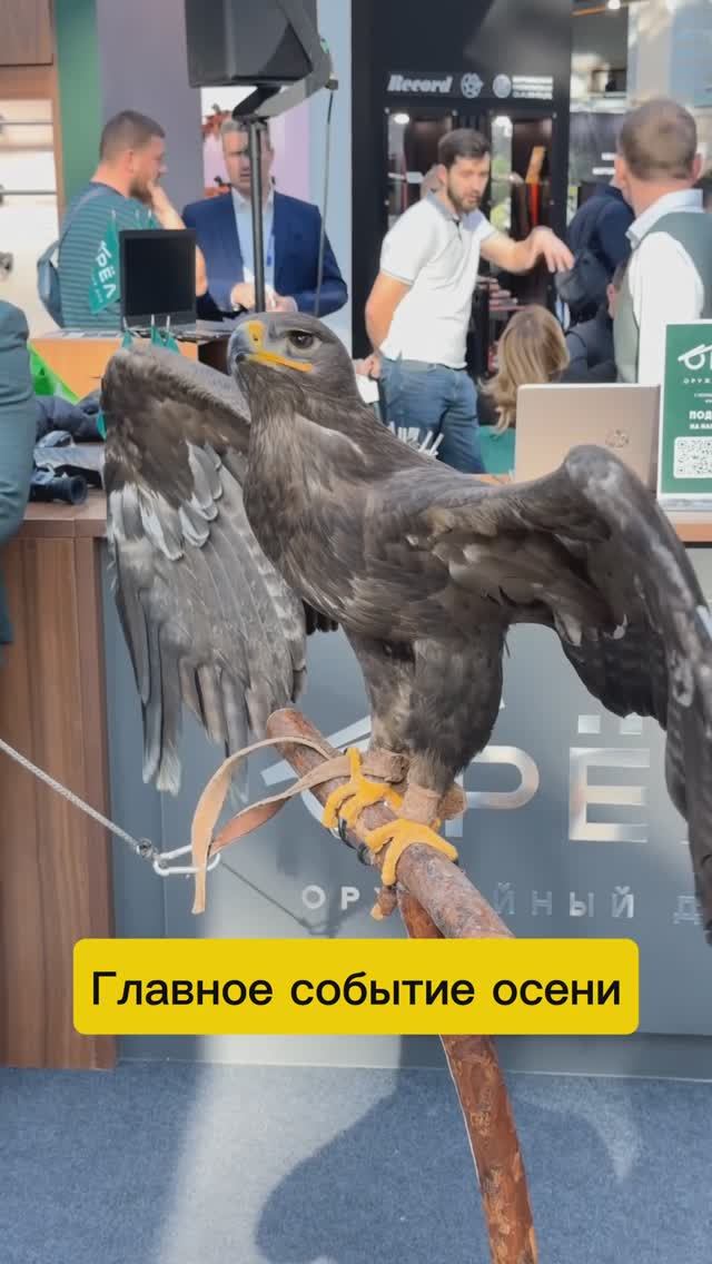 Af264670a97c363668accf704abfa981