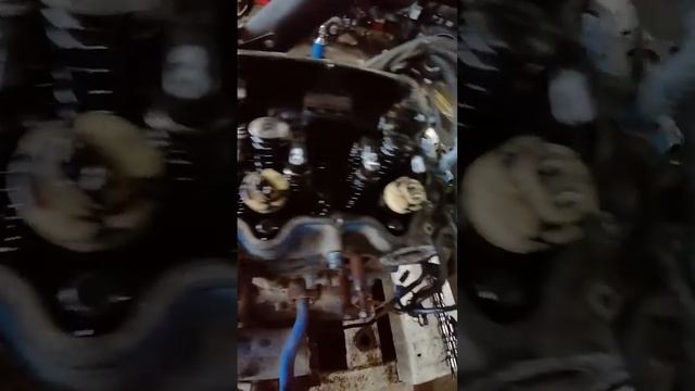 дизиль(3)