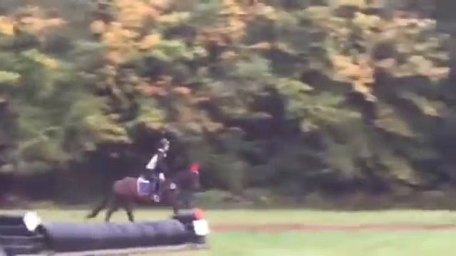 TBEA DX XC       DESI & KIWI