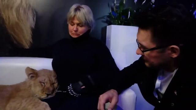 Львенок и пума на конференции в Тесла Плэйс(6)