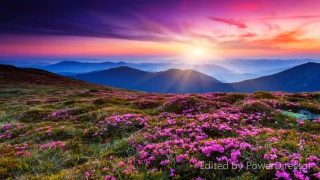 Riverwise Yoga: Gentle Yoga For Hips, Side Waist