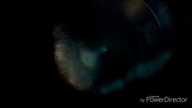 Смотрю неизвестный объект под микроскопом