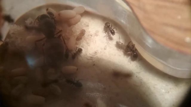 6ad0bbe38a46cbd6c581bdccb56a5161