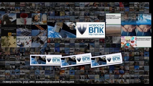 Грибки и бактерии что нашел на МКС Электронный нос