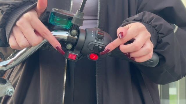 Обзор на Citycoco 2WD