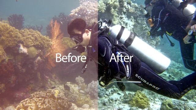 MyZesty's Under Water Filter // Edit Underwater Photos Like A Pro