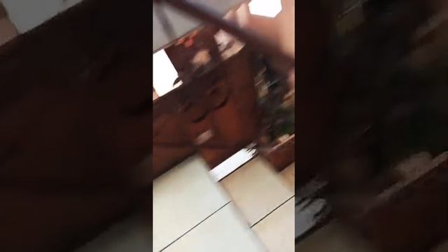 Tesla Model X Crash#hotweels