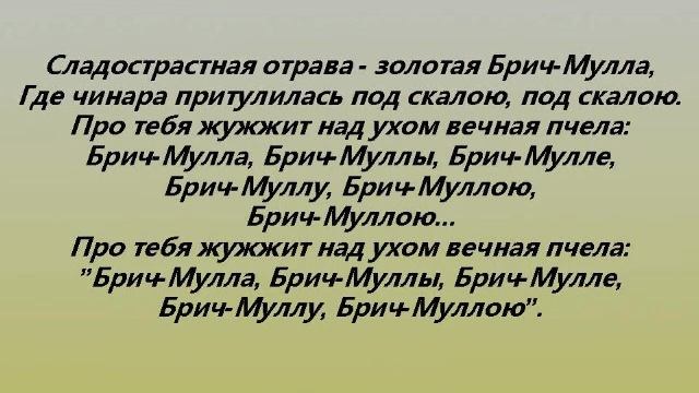 БРИЧ МУЛЛА
