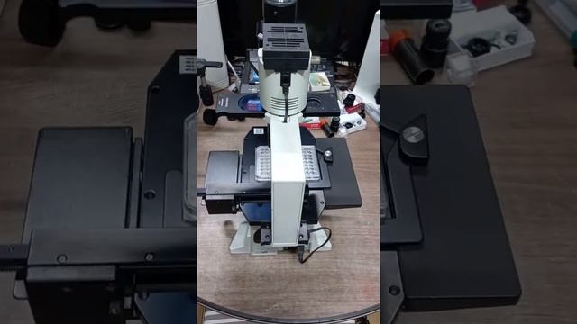 OLYMPUS CK40 INVERTED PHASE MICROSCOPE.올림프스CK40도립위상차현미경