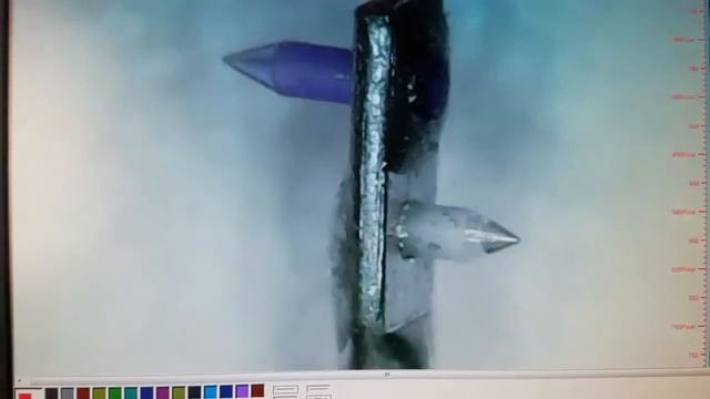 Digital Microscope,  Gary J