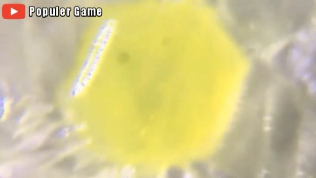 ZOOM 1000X | EXPERIMENT ZOOM PLESTER DENGAN MIKROSKOP