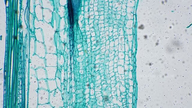 6ffc6ac09524ada8510263a303e942f9