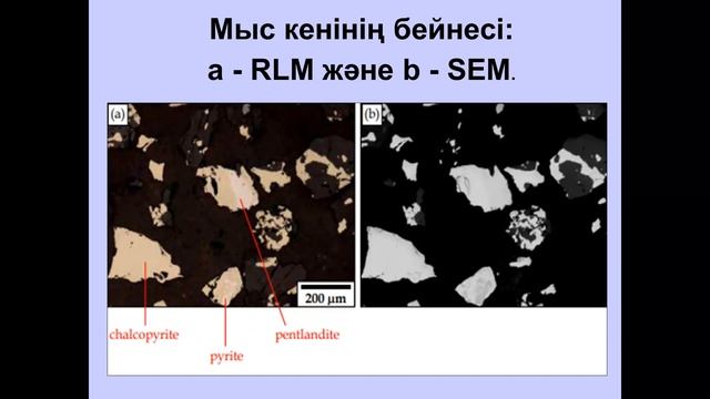 мультимодалды микроскопия