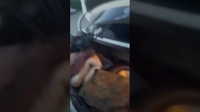 Обзор на Марка