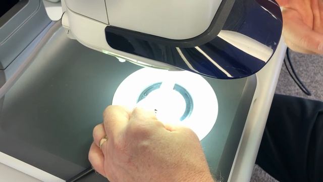 F0a6628e4caf315cd13ea17be59e144f