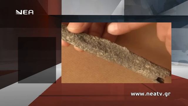 ΣΤΟ ΜΙΚΡΟΣΚΟΠΙΟ OΣTA