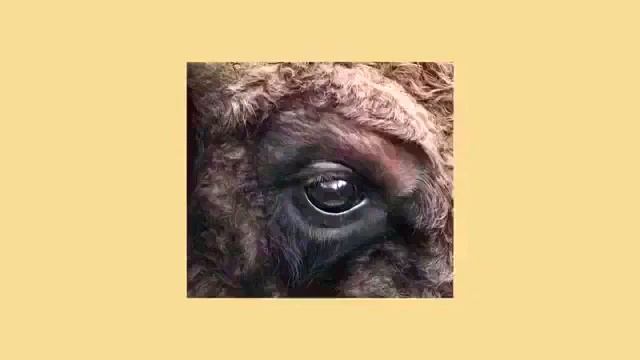 Draw My Life   Study Of The Eye